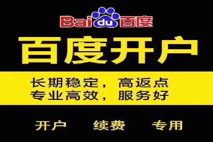 百度联盟推广网络覆盖的案例研究